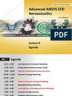Advanced ANSYS CFD Aeroacoustics: Agenda