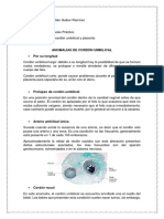 Anomalías de Cordon y Placenta