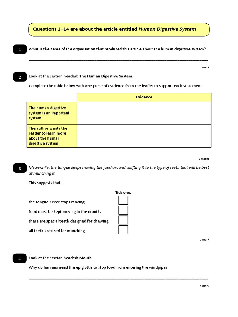 digestive system year 7 questions