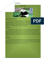 MOT 1 (Modelling of Text 1) : Panda Bear