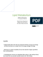 13 - Lipid Metabolism