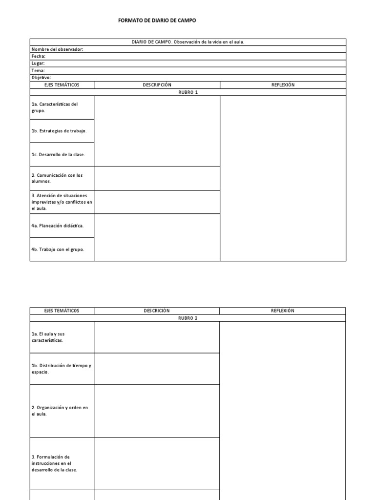 FORMATO DE DIARIO DE CAMPO