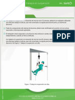 Guia de Seguridad para Trabajo en Suspension