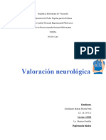 4.10 Valoración Neurologica