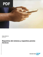 IRPA - Requisitos Del Sistema y Requisitos Previos