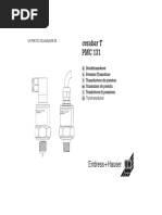 Cerabar T: Hauser Endress