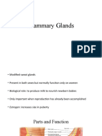 Mammary Glands Bio LEC Report