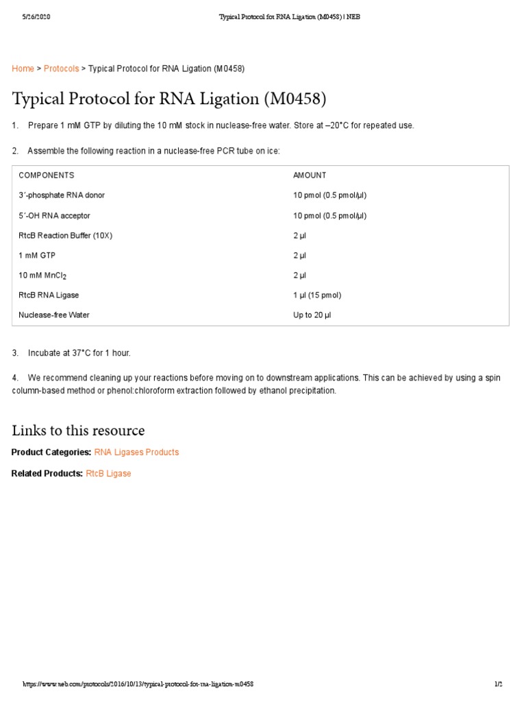 RNA Ligation Protocol with RtcB | PDF