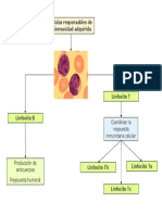 Mapa Inmunidad Adquirida