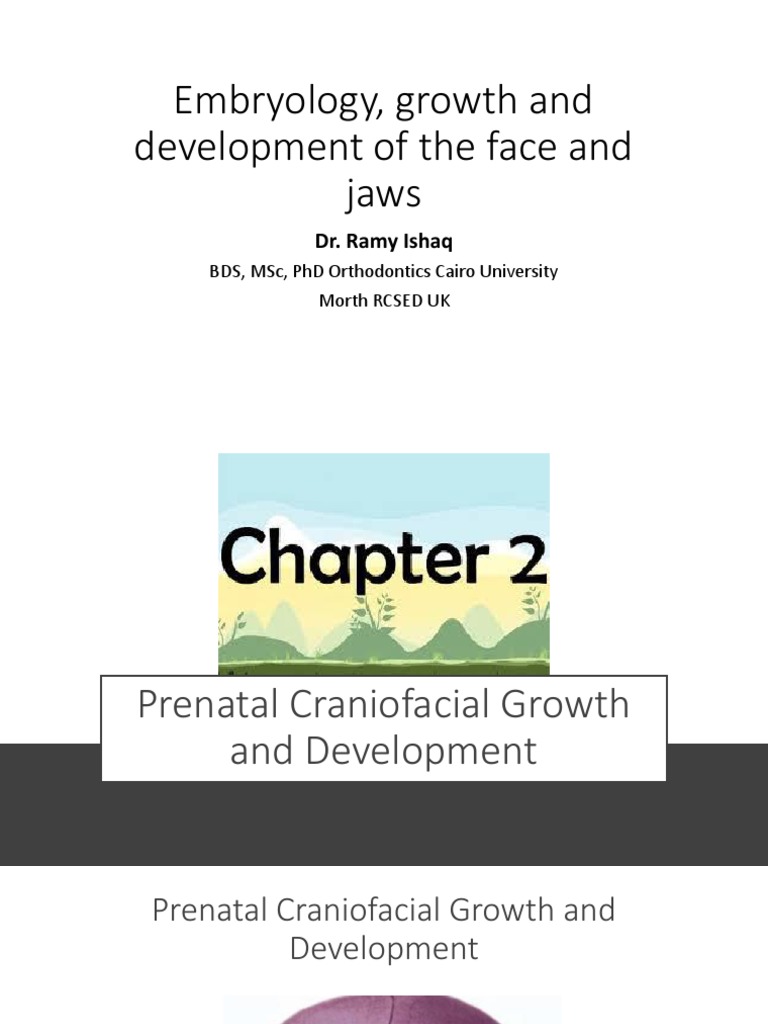 2 Prenatal Craniofacial Growth 1 2 | PDF | Human Head And Neck | Human ...