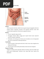 Download Hernia Inguinalis Lateralis by Ista Ariesta Haryasena SN50879240 doc pdf
