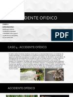 Accidente Ofidico