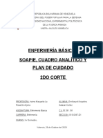 Enfermeria Soapie Cuadro Analitico y Plan de Cuidado II 29-10-2020