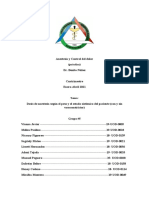 Anestesia y Control Del Dolor - Grupo 5