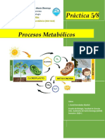 Copia de BIO-018 Practica 5 y 8 - Procesos Metabólicos