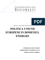 Politica Uniunii Europene in Domeniul Energiei. BERCEANU BIANCA GABRIELA