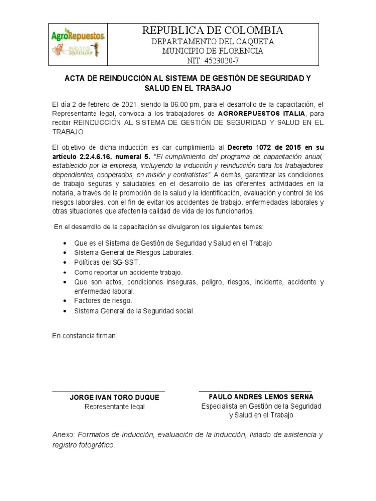Acta de Reinducción en Seguridad y Salud | PDF