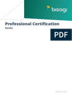 Bizagi Professional Certification - Preparation Guide
