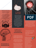 Tríptico Folleto CLASE (3) NEUROMARKETING