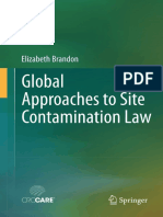 Global Approaches To Site Contamination Law