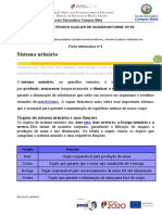 Ficha Informativa N.º 3 - Sistema Urinário