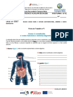 Ficha de Trabalho N.º 1 - SISTEMA DIGESTIVO