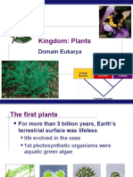 AP Bio Plants (KFogler)