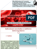 Infecciones Por Catéter AVA