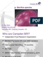 Food Testing Bacillus Species Ibma