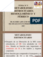 Metabolismo Eritrocitario - Hemoglobínico y Férrico