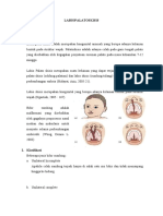 LabioPalatoSkisis