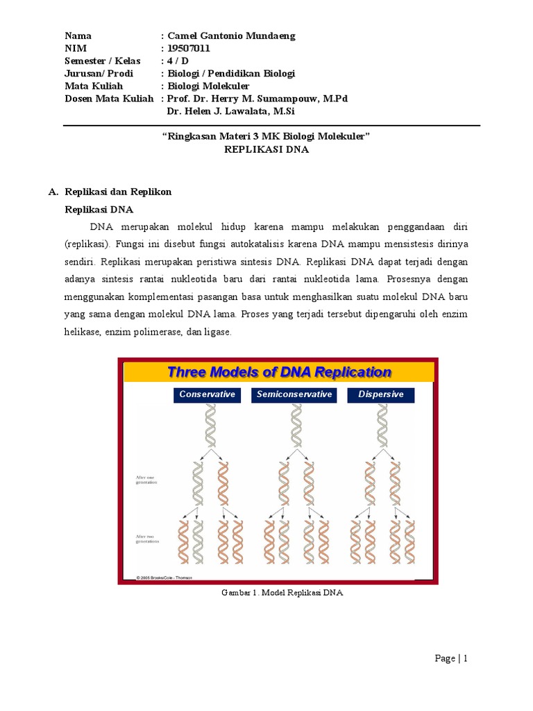 Proses Replikasi DNA dan Enzim Terkait | PDF | Sains & Matematika