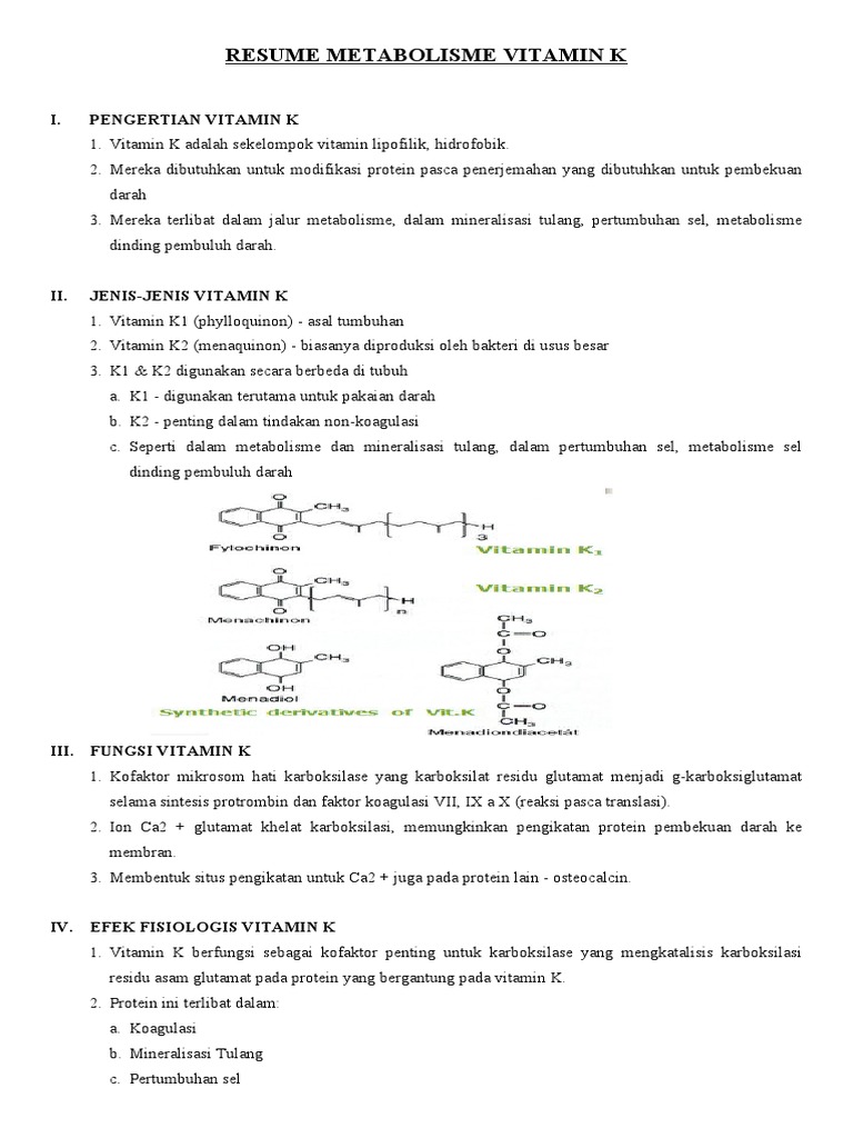 Resume Metabolisme Vitamin K PDF