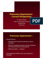 Pulmonary Hypertension - Current Perspectives: Dr. Dipesh Maskey Dept of Pulmonology and CCM Pgimer, CHD 29/01/2010