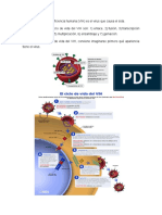 Ciclo Del Virus Del Vih