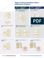 AOS Injury Classification Pocket Card THORACOLUMBAR