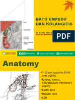 Batu Empedu Fix