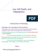 Introduction to Cell Injury and Death in Pathology