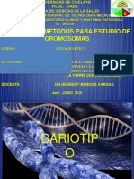Cariotipoexposicion 150808223034 Lva1 App6891