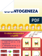 Curs - Odontogeneza - An IV - 2018