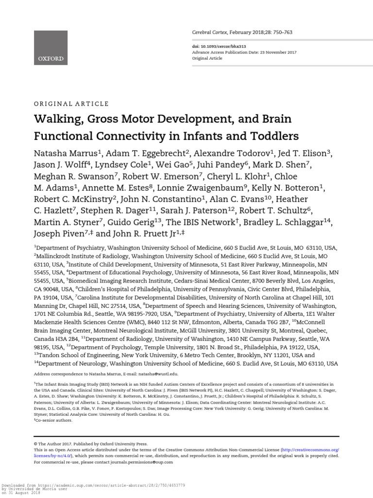 Walking, Gross Motor Development, and Brain Functional Connectivity in ...