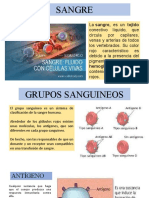 4 P - 17 - 05 - 2021 - Sangre