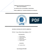 2. Causa Efecto - Kauro ISHIKAWA y TOC