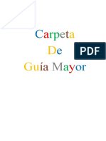 Requisitos Guias Mayores