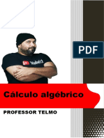 Cálculo Algébrico