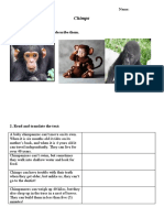 Chimps: 1. Look at The Pictures and Describe Them