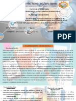 Exposicion Del Proyecto de Investigacion de Mercado