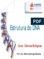 Biologia Molecular - Estrutura do DNA