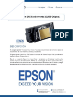 Cabezal Epson DX5 EcoSolvente 10000 Original