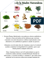 Antibioticos naturales